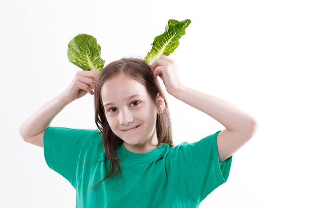 salad-3434616_640